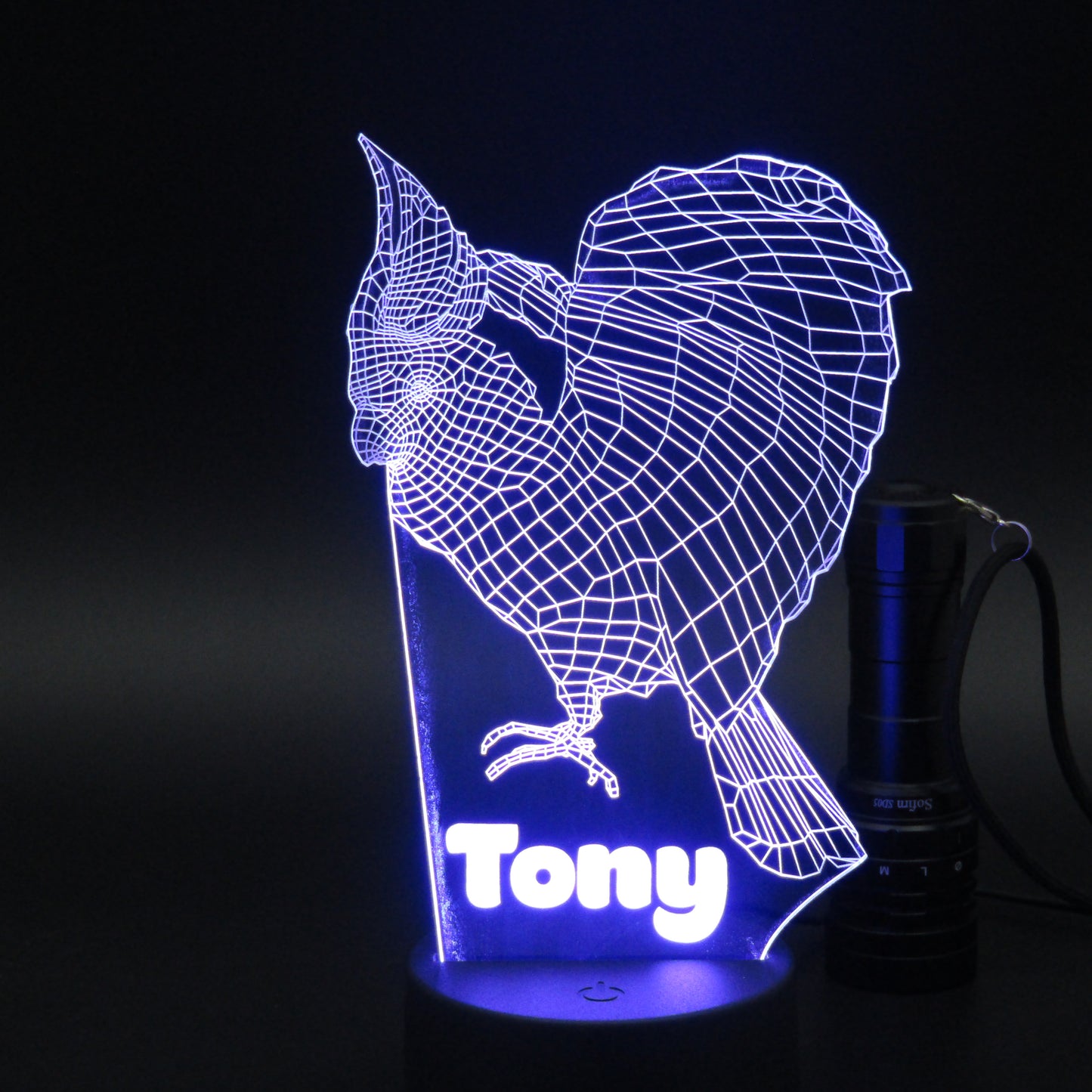 Personalized Rooster 3D night light