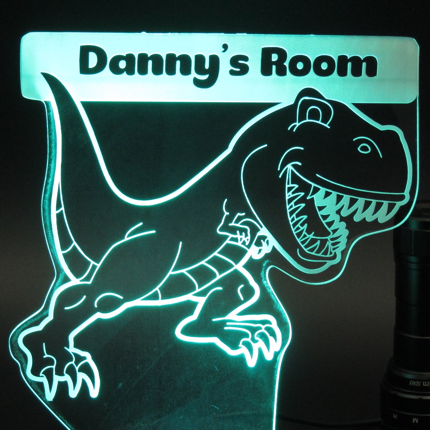 Personalized gifts Dinosaur Cartoon 3D night light