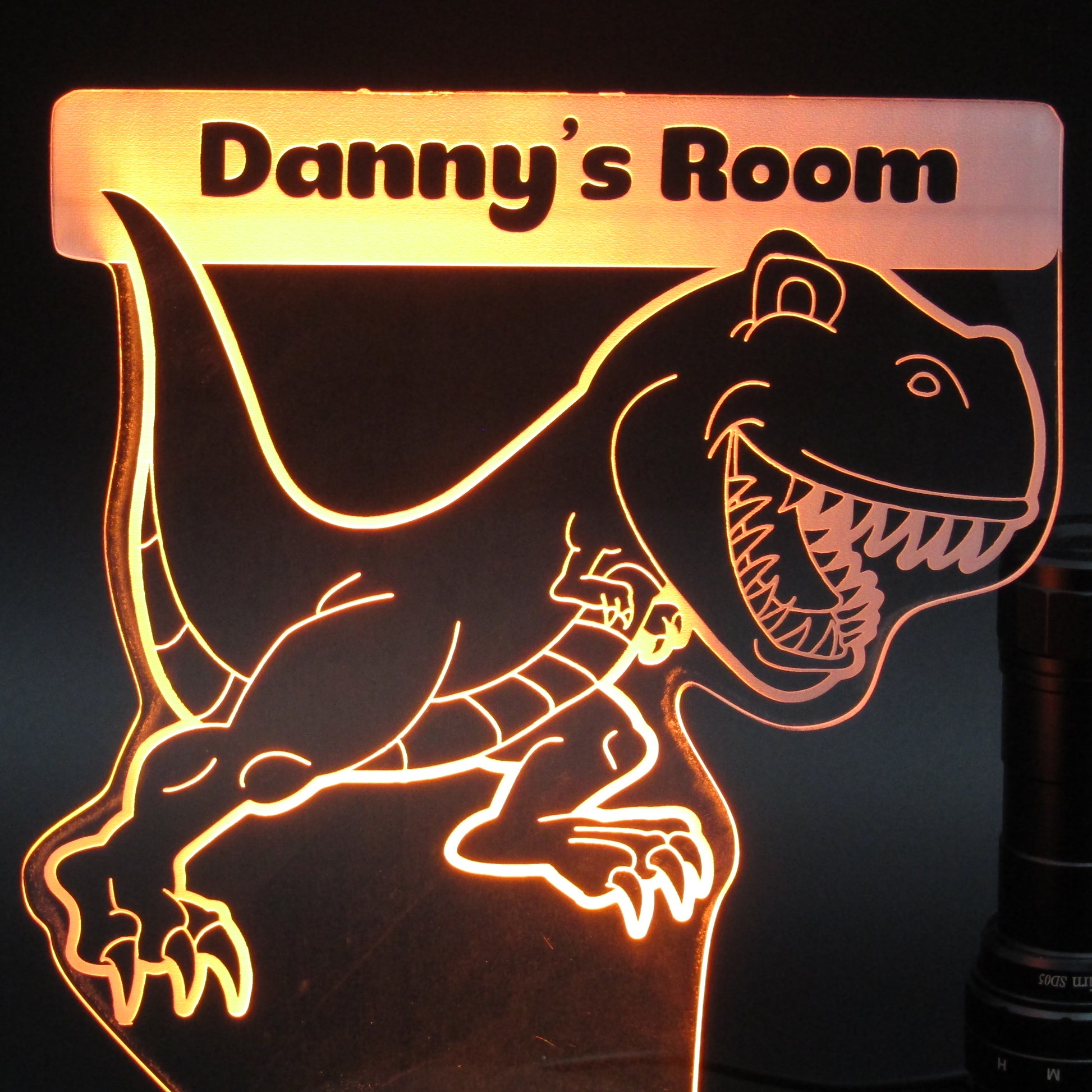 Personalized gifts Dinosaur Cartoon 3D night light