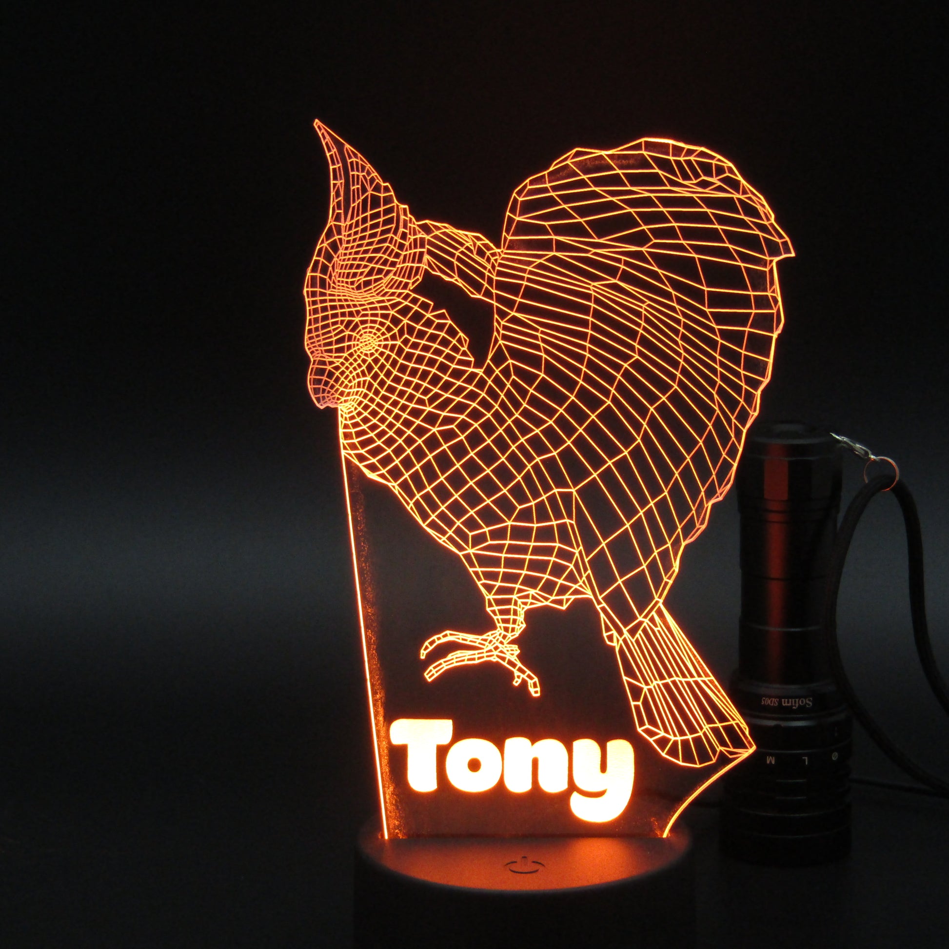 Personalized Rooster 3D night light