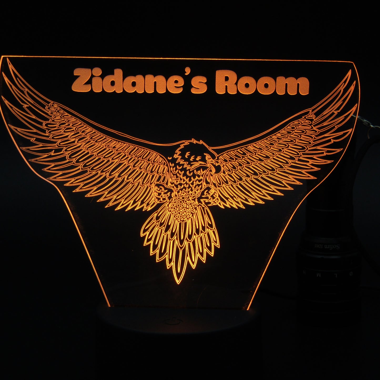 Personalized eagle bird 3D night light