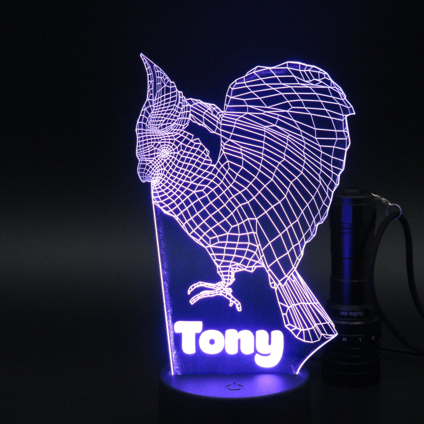 Personalized Rooster 3D night light