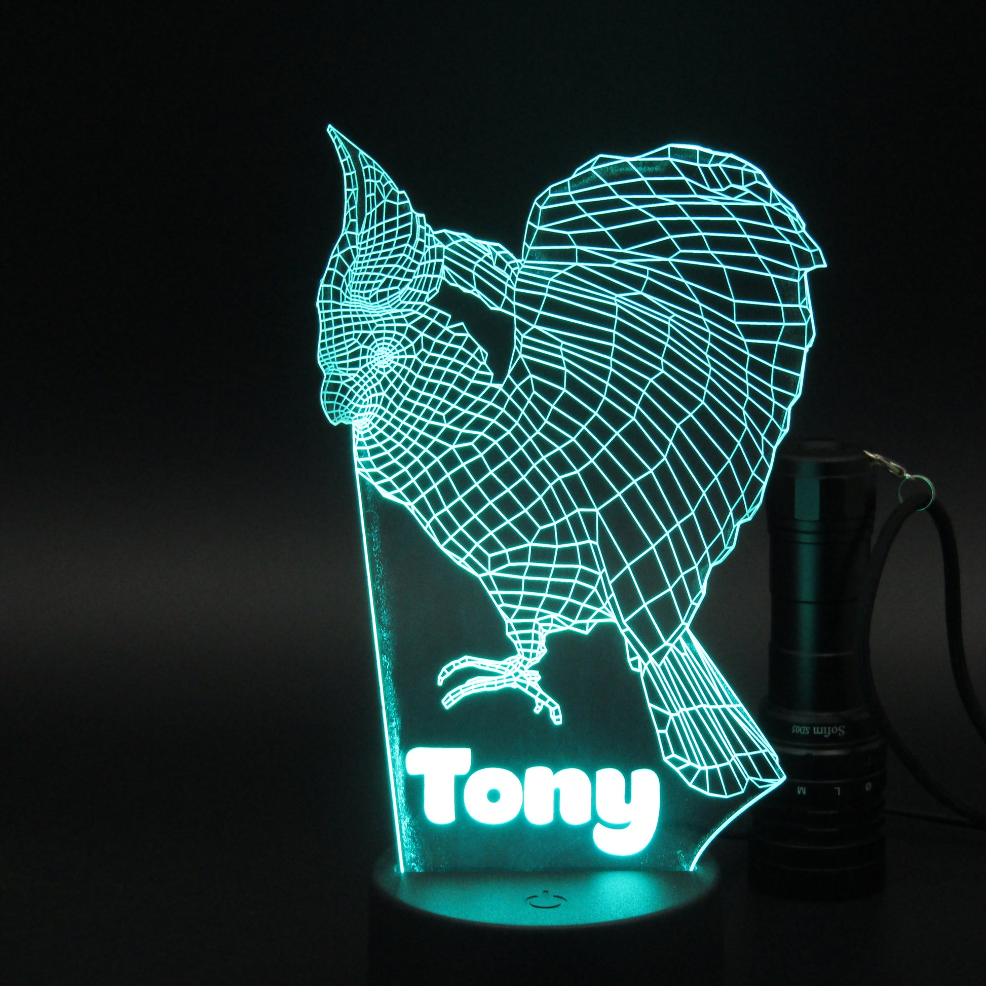 Personalized Rooster 3D night light